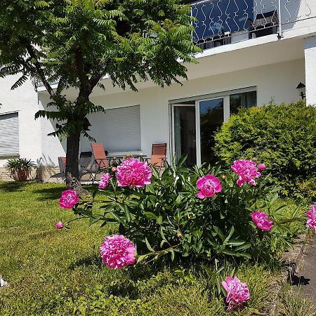 Rauszeit-Toroni Apartment Niedenstein Exterior photo
